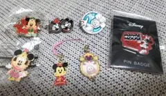 ディズニー ピンバッジ チャーム 根付けセット