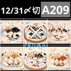 【A209】CK様パネル　わんこ