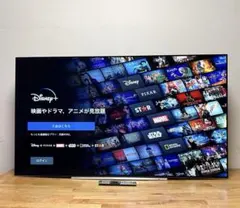 アイ・オー・データ 55インチ4Kモニタ EX-LD4K552DB - メルカリ