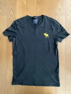 Abercrombie & Fitch Vネック Tシャツ ブラック Sのサムネイル