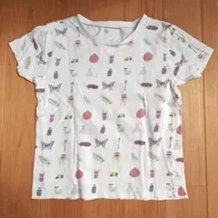 インセクトコレクション Ｔシャツ XL