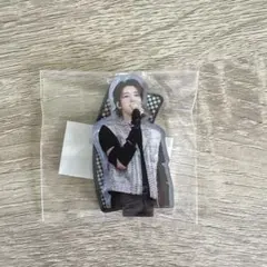 ウォヌ　アクリルスタンド SEVENTEEN FOLLOW TO JAPAN