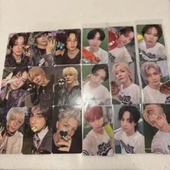 &TEAM Back to Life ROAR スプサ トレカ コンプ セット