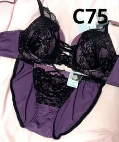 C75 マーベラスシアーレースアップ育乳脇高ブラジャー&フルバックショーツ