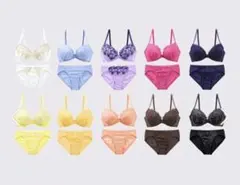 (激安値下げ中)ブラジャーショーツ3点セットエレガント刺繍