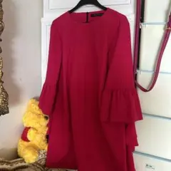 ZARA 袖フリルワンピース