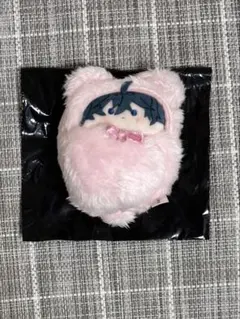 【新品】　ブレイクマイケース　くるみたぴぬい　環野揺