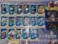 ポケモンフレンダピック(ノーマル17枚、トレジャー2枚)計19枚