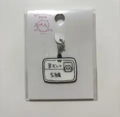 【にゃん様専用】ちいかわパーク 小物チャーム 草むしり検定証 ちいかわのサムネイル