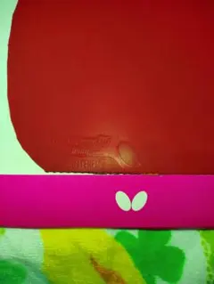 Item thumbnail for item 961564b5-0bb1-41a0-bfc8-cbe1f5ed29e0