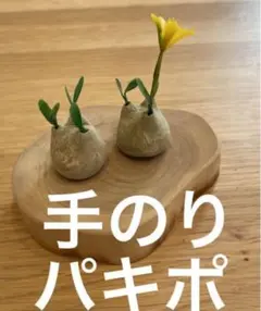 置物　フィギュア　ミニチュア　インテリア　観葉植物　パキポディウム　グラキリス
