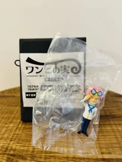 ワンピの実 第十五海戦 コビー