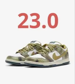 Nike SB Dunk Low PRO QS Alexis Sablone