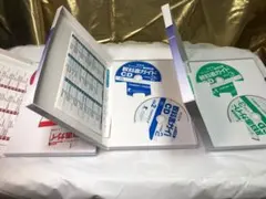 Item thumbnail for item 8b342c08-1271-4bb1-a1c7-4c6ea0834a1f