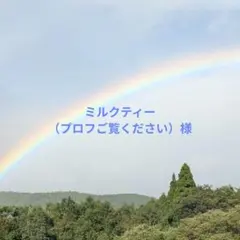 ミルクティー（プロフご覧ください）様 リクエスト 6点 まとめ商品