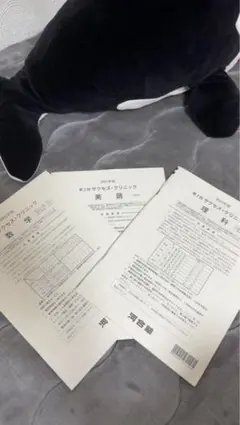 2026年最新】河合塾サクセスクリニックの人気アイテム - メルカリ