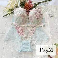 【新品】wacoal サルート　89 ブラ　ショーツセット　F75M SX