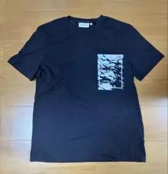 Calvin Klein Tシャツ