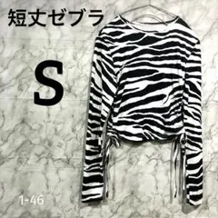 Item thumbnail for item 46c219a6-ed12-4348-811b-924a43dd316b