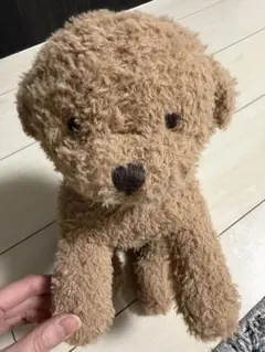 2026年最新】トイプードル ぬいぐるみ ジェラートピケの人気アイテム