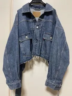 とし様専用　neon sign UNFINISHED JACKET 46のサムネイル
