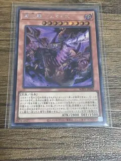 2026年最新】滅亡龍 ヴェイドス シークレットの人気アイテム - メルカリ