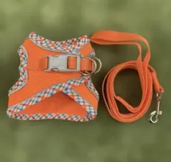 オレンジ メッシュ ハーネスリードセット XXS