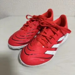 Item thumbnail for item 0af8ecf4-21ef-4660-aaf4-b786b4f744f2