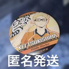 ハイキュー 月島蛍 缶バッジ TO THE TOP キャラバッジコレクション