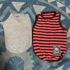 超小型犬　洋服　2枚セット　グレー　ボーダー