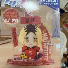 ハイキュー あくぬい 孤爪研磨