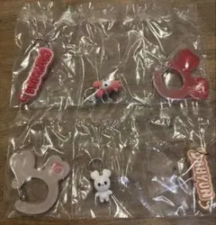 TWICE LOVELYS アクリルカラビナフロッキーマスコットチェヨンダヒョン