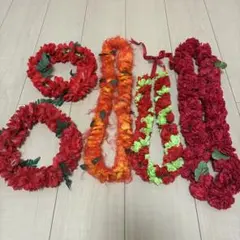 훌라 댄스 레드 레이 세트