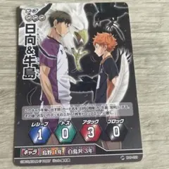 ハイキュー！！バボカ！！　日向&牛島　カード
