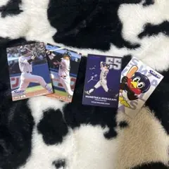 プロ野球チップス カード 東京ヤクルトスワローズ 村上宗隆 55