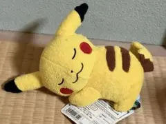 ポケモン　ポケモンセンター　おねむりピカチュウ　ぬいぐるみ　完売品