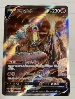 エンテイV SAR S12a 213/172