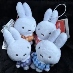 ミッフィー　ぬいぐるみ アーガイルver コンプリート