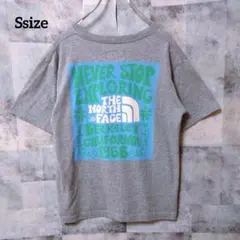 THE NORTH FACE Ssize 半袖Tシャツ バックロゴ グレー