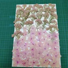 しろ様 リクエスト 2点 まとめ商品