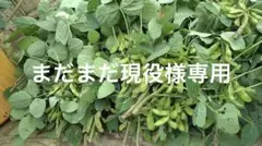 まとめ売り