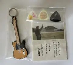 福山雅治 20周年記念 ギター型キーホルダー ピック3枚セット ファン