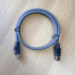 サンワサプライCAT6A STP LANケーブル(1m)のサムネイル