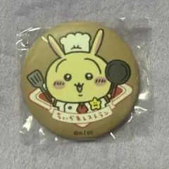 うさぎ 缶バッジ
