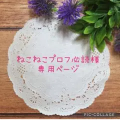 ねこねこプロフ必読様専用☆ねんどろいどどーる服☆オーダーページ