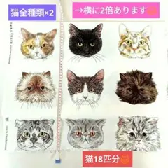 ❇365CAT.ART シーチング キャットフェイス 新品❇生地幅×約縦46㎝