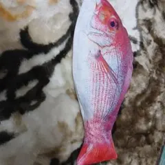 鯛のペンケースのサムネイル