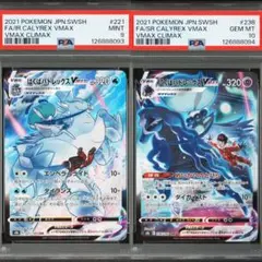 2026年最新】こくばバドレックスvmax csrの人気アイテム - メルカリ