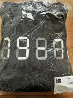 Item thumbnail for item 7ea17c96-7d86-40f5-89df-72a58e8203b1