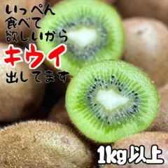 和歌山県産　キウイフルーツ　箱込み1kg
